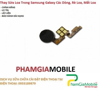 Thay Thế Sửa Samsung Galaxy C8 Mất Rung, Liệt Rung